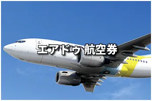 羽田空港発 AIR DO(エアードゥ）国内 格安航空券