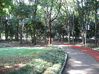 赤塚公園内風景