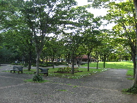 竹園公園内風景