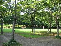 竹園公園内風景